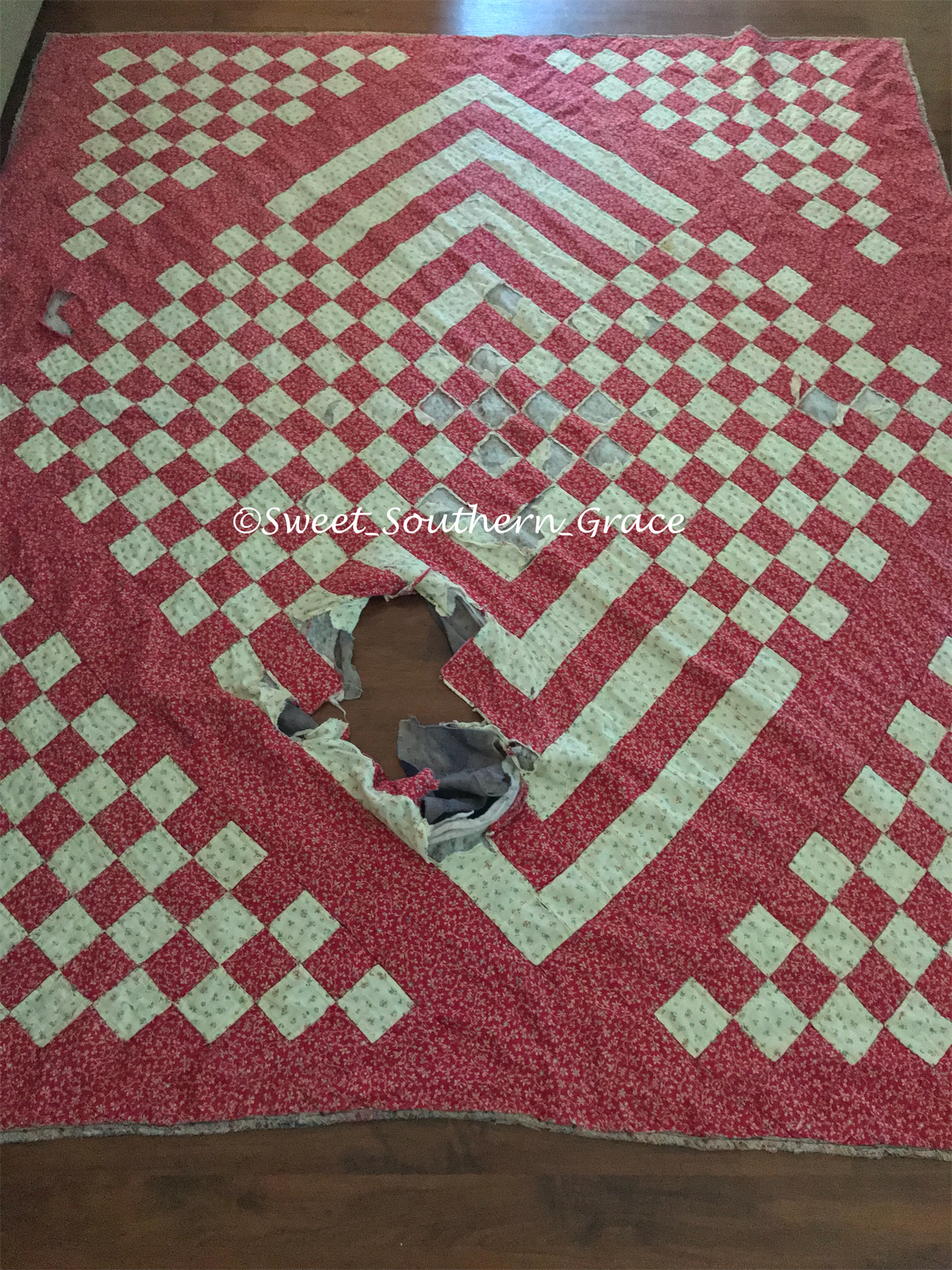 62D90185-9C47-47E5-ADC1-89B845EC5609