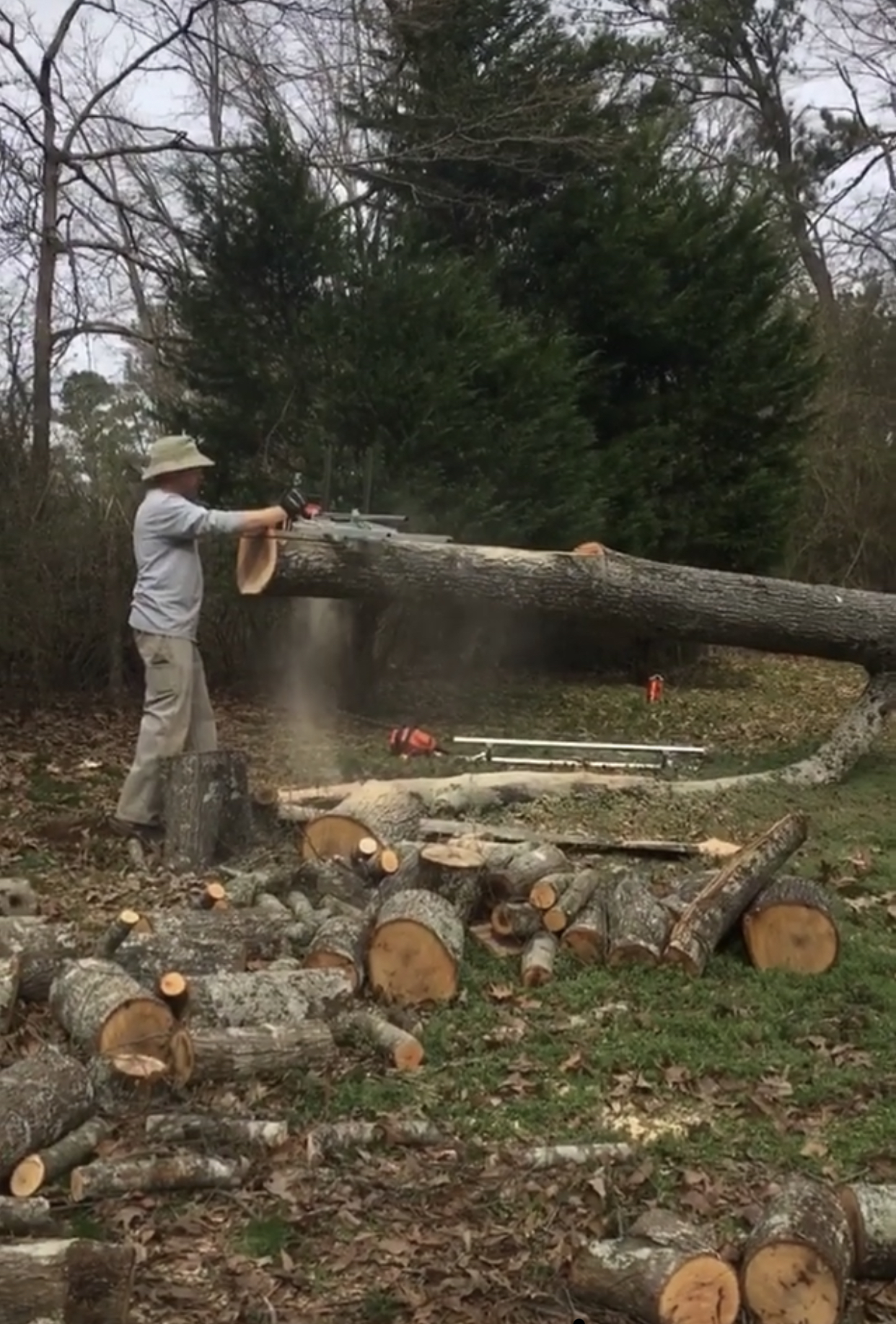 86ADEE30-DBD3-4045-87E7-32AE0922FC41