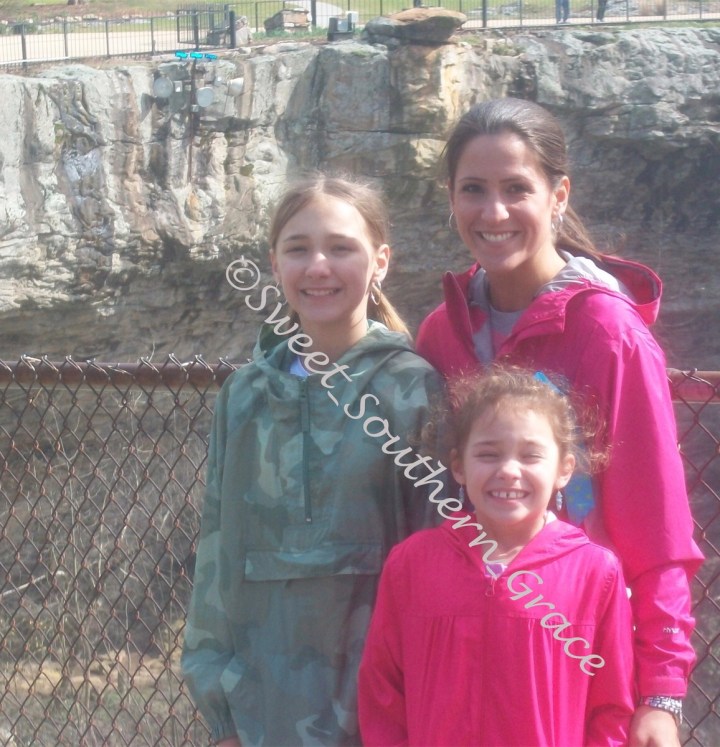 EDD43CF1-FDF6-4771-BD25-C4DA32CCB0F4