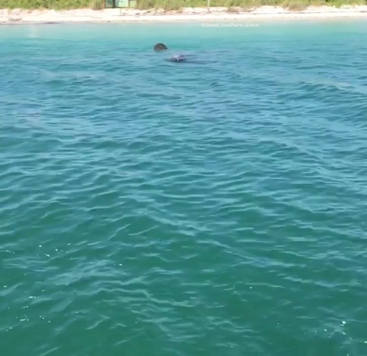 0BD6E4E7-B771-40FD-AA43-4F7A46E4F9B7