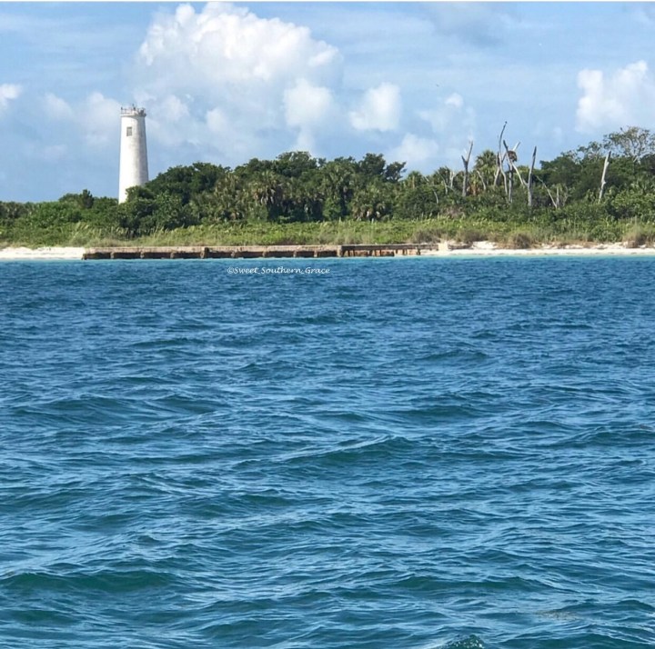 17F96678-3909-4CA4-91A9-3914D14DAFF3