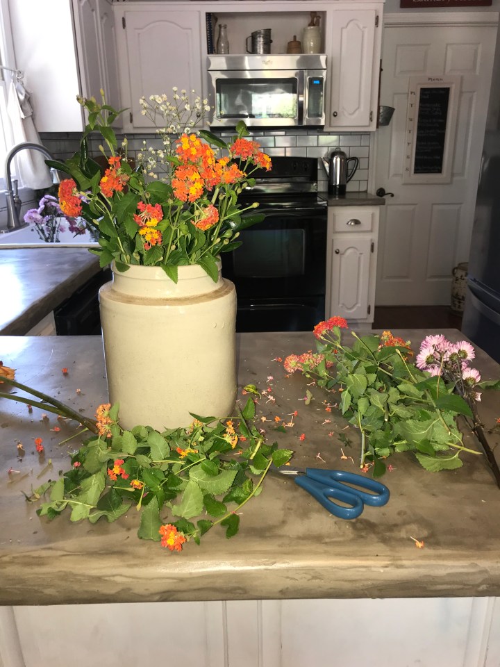 1F7736F0-678C-420C-9A59-E5F5FC2CA2FA