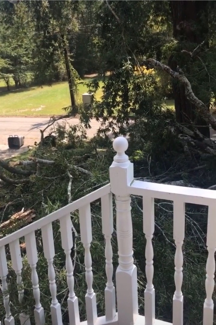 5008DCCD-0763-4EE0-8694-6A29CCAB073D