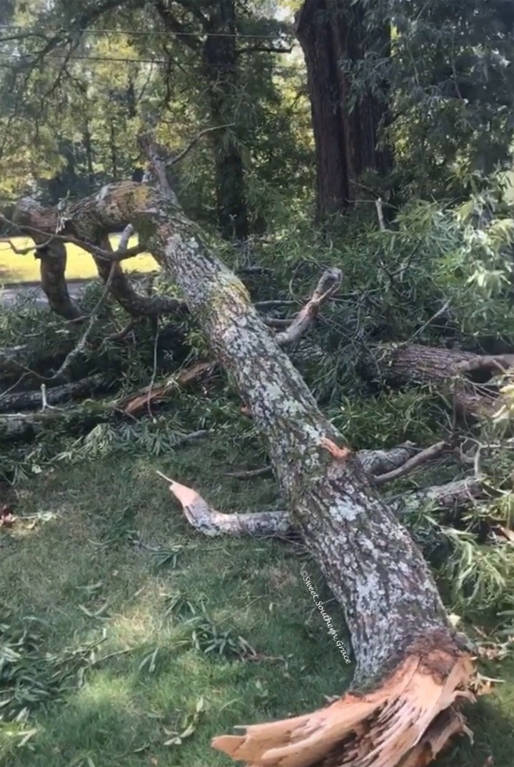 5AFDAF7F-23AA-4391-8996-D9D58A07F1DC