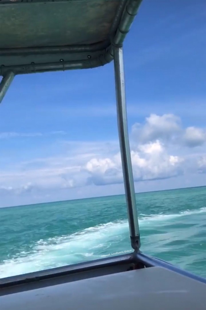 8E9F272B-B14A-43BB-A941-83188351526E