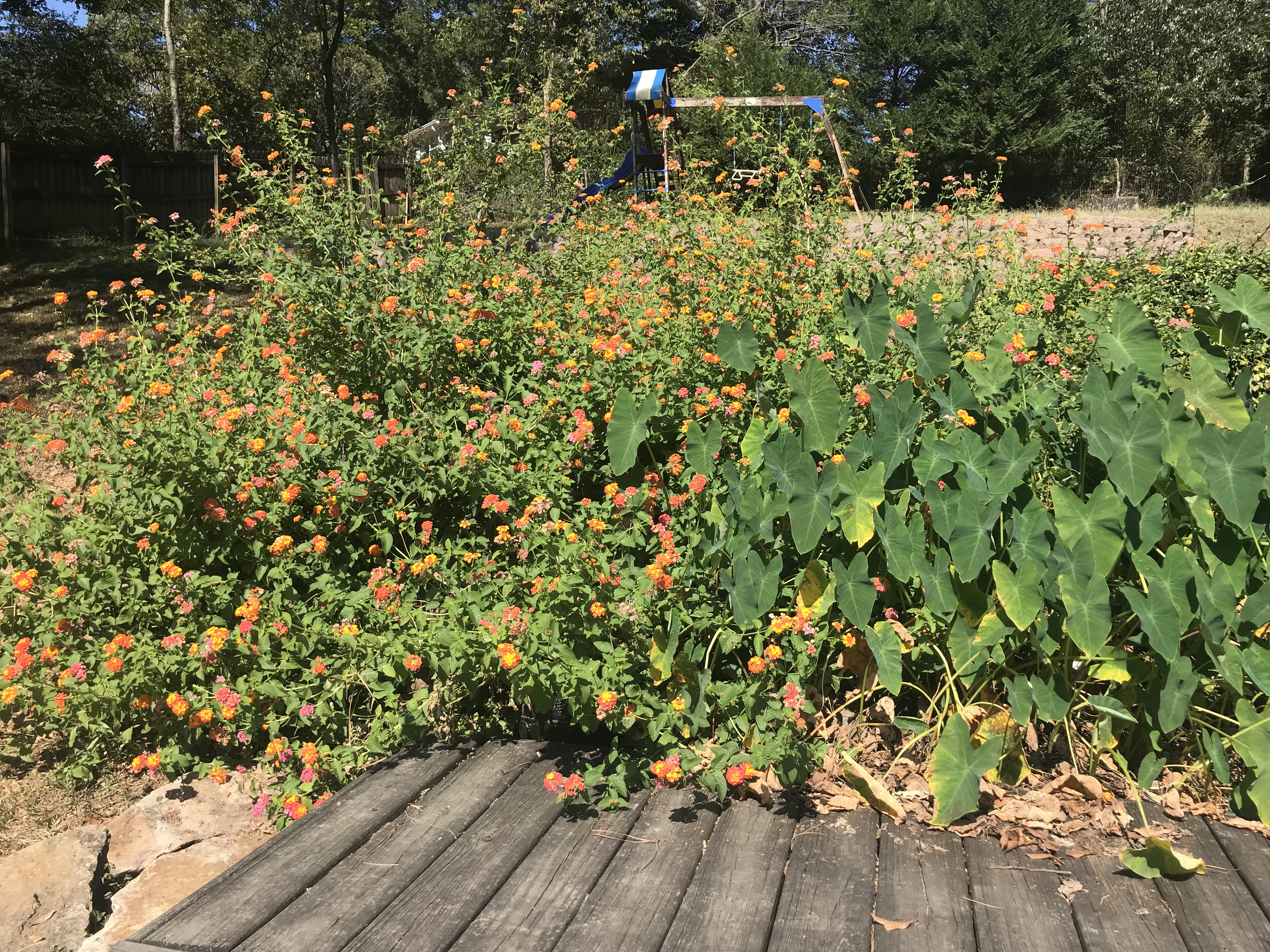 9A08C870-0CA4-413D-AA4B-010634FC7E96