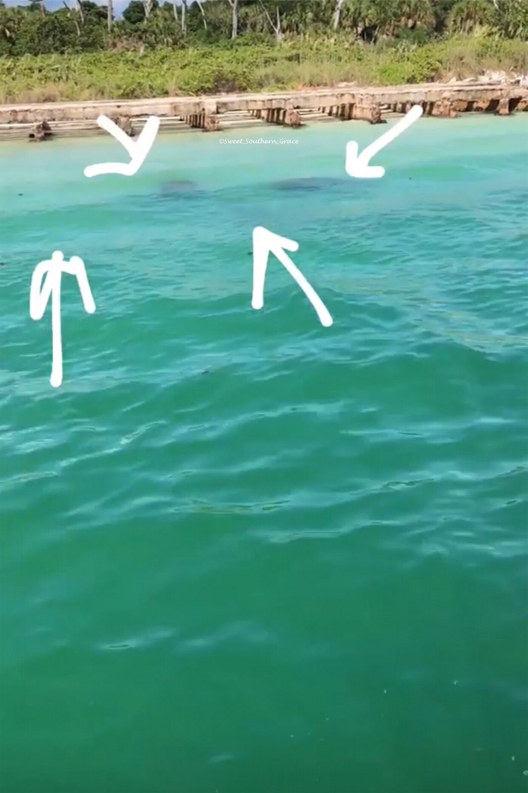 AF7C8FD8-FF1B-4C6F-8021-F80B04D565A1