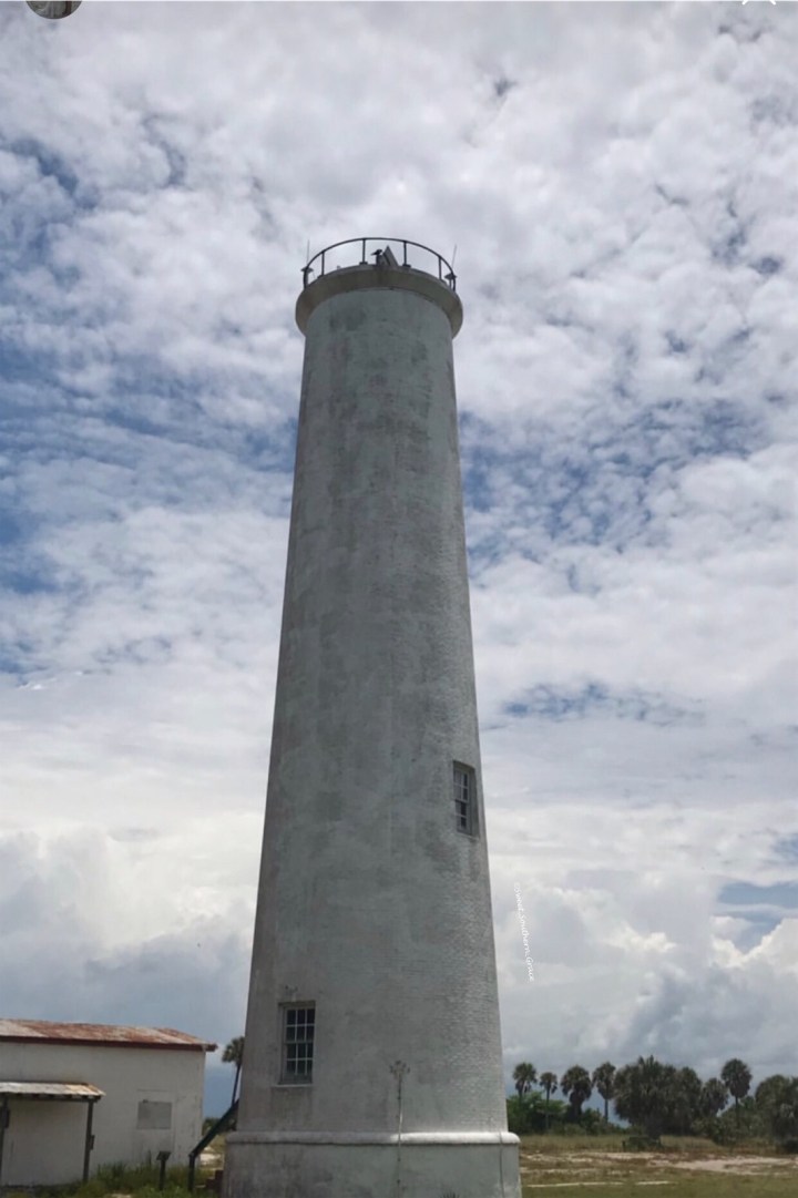 F099EED4-D6EA-4E0C-8072-36F2767411A8