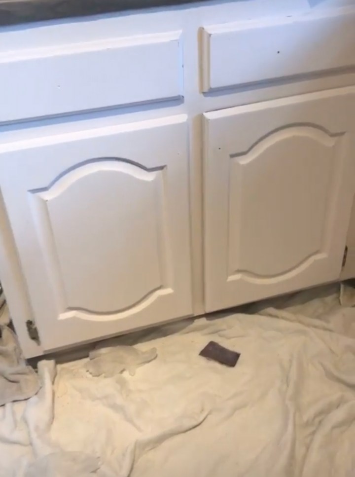 8C086D19-DED6-4EE2-B7DA-C7BE515A42C9