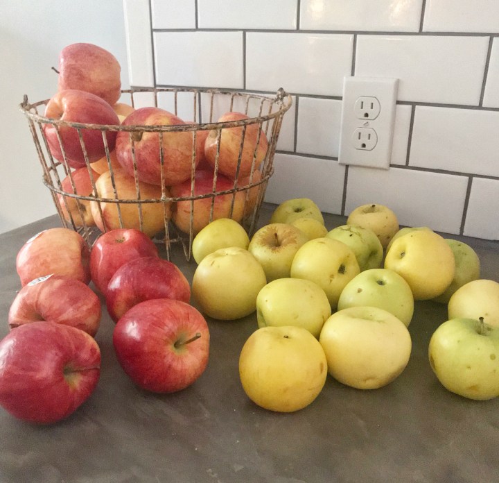 98EA3AF2-2991-41F6-BF55-69FA9A9D1132