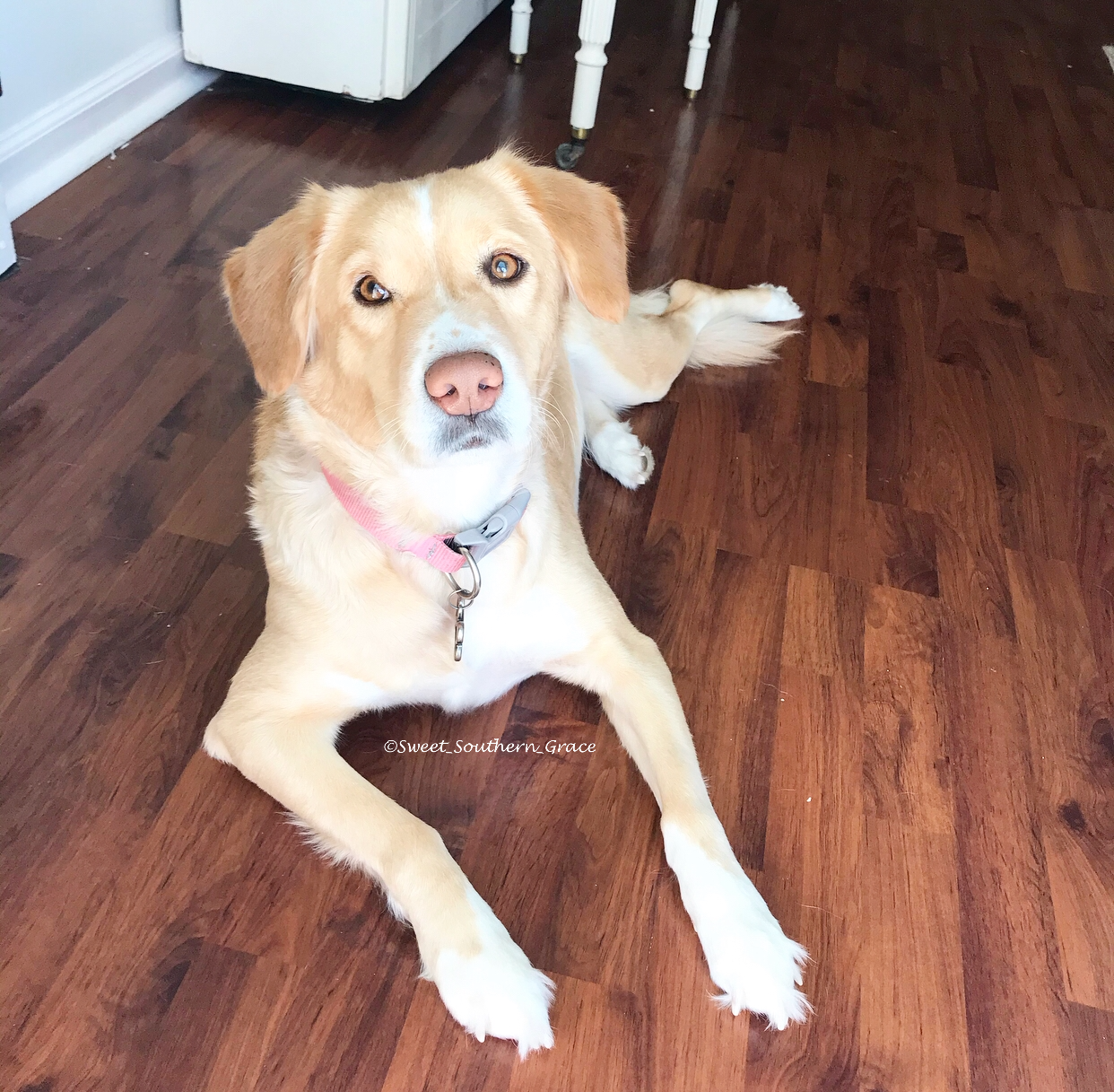 0F410090-2B7F-4C3B-8043-76E94F150CB4