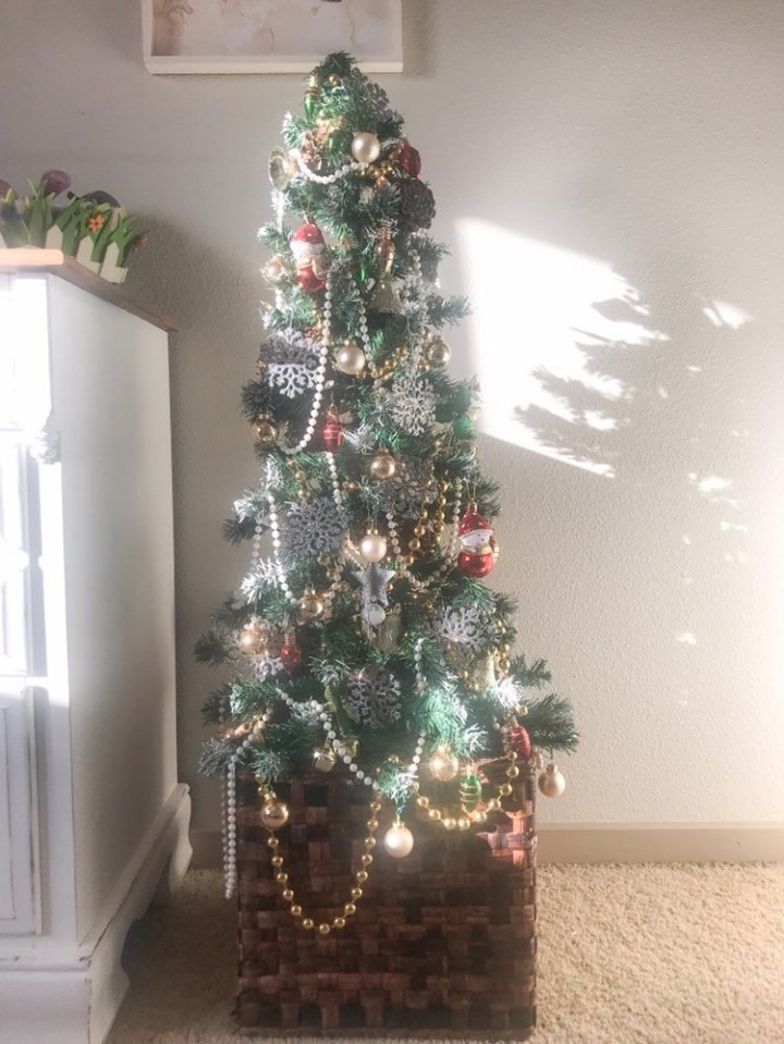 BDF66C4E-8C5F-49E9-9278-DA0AE83A9DEF