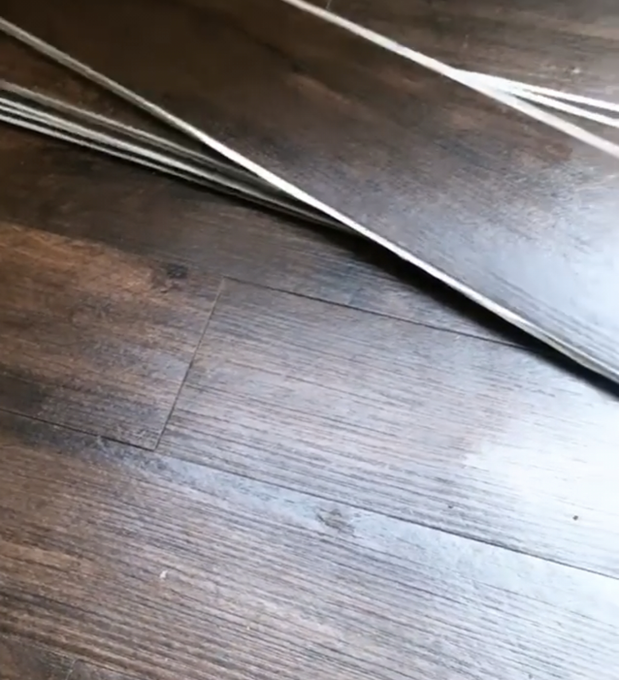 4D5039D0-85D1-4F1D-AAE9-F68A9EF38AE7