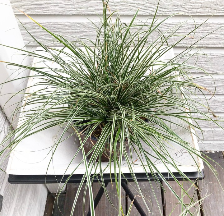 E09A1350-5C06-4522-B3FC-F4B3DB66C2A5