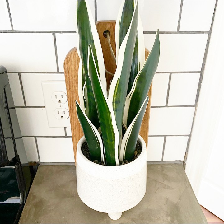 E3E3CECA-9F4B-4C76-920F-5DF7ACD88D88