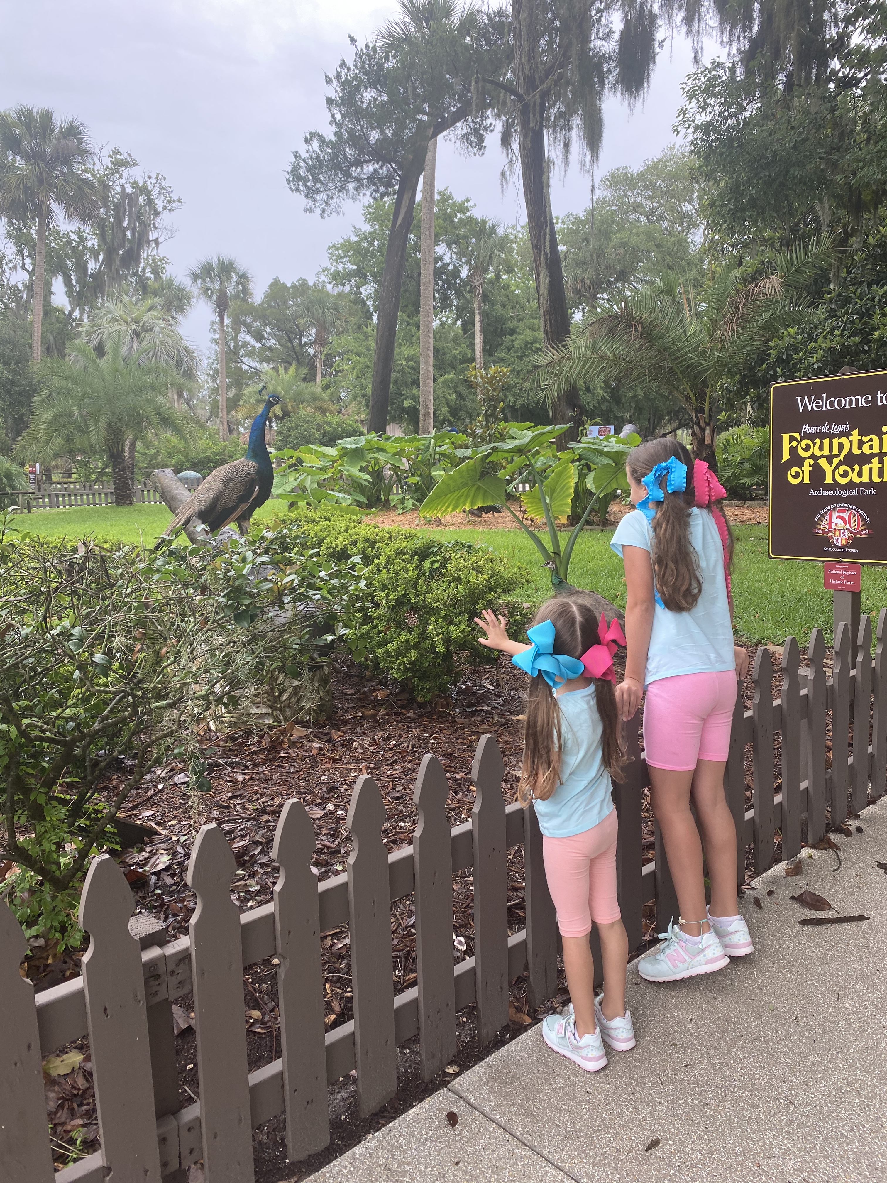 1C6A0D5C-086E-4CC3-8751-88ADF53903C9