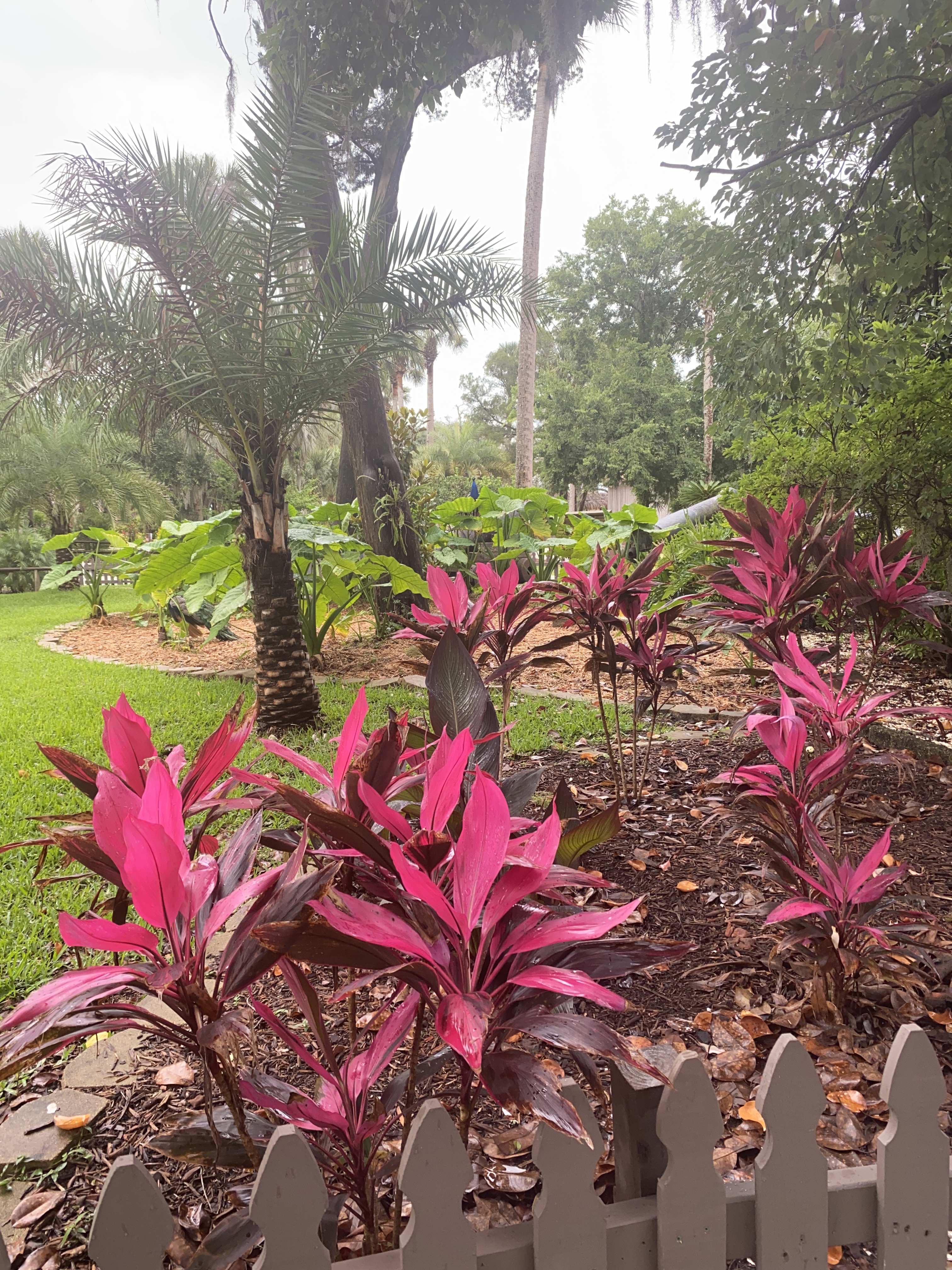 B2F0DBEE-33DA-450A-8FDF-B89D289C2E7D