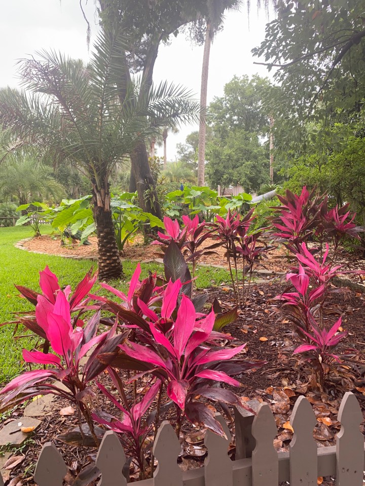 B2F0DBEE-33DA-450A-8FDF-B89D289C2E7D