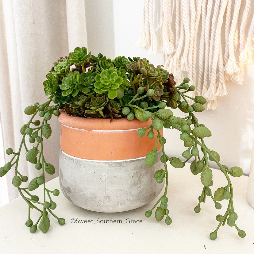 DD80D5F3-BF12-4105-9209-86DBF6A9E156