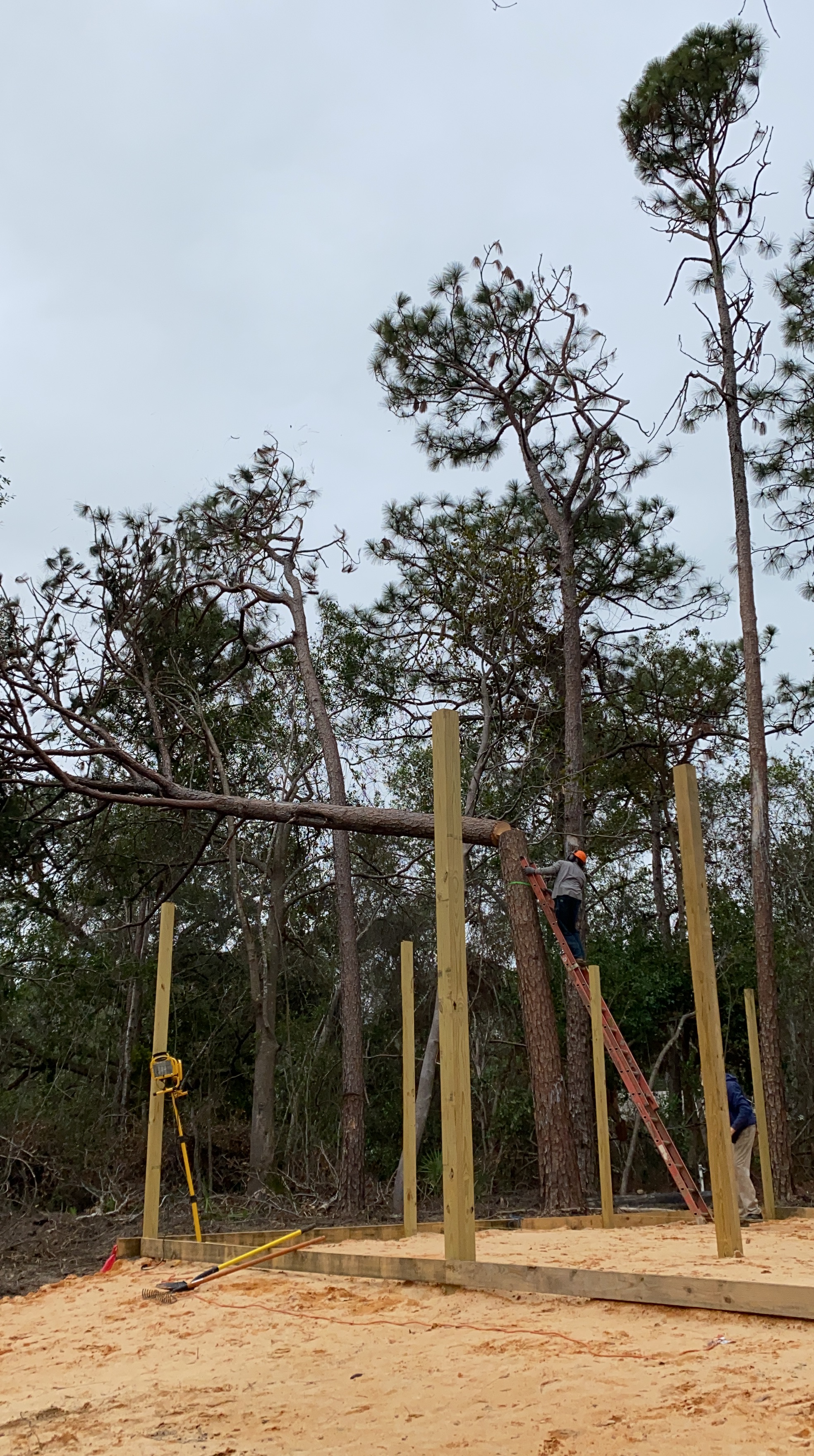 95097FD0-9C54-4EA4-A412-22F05977837B