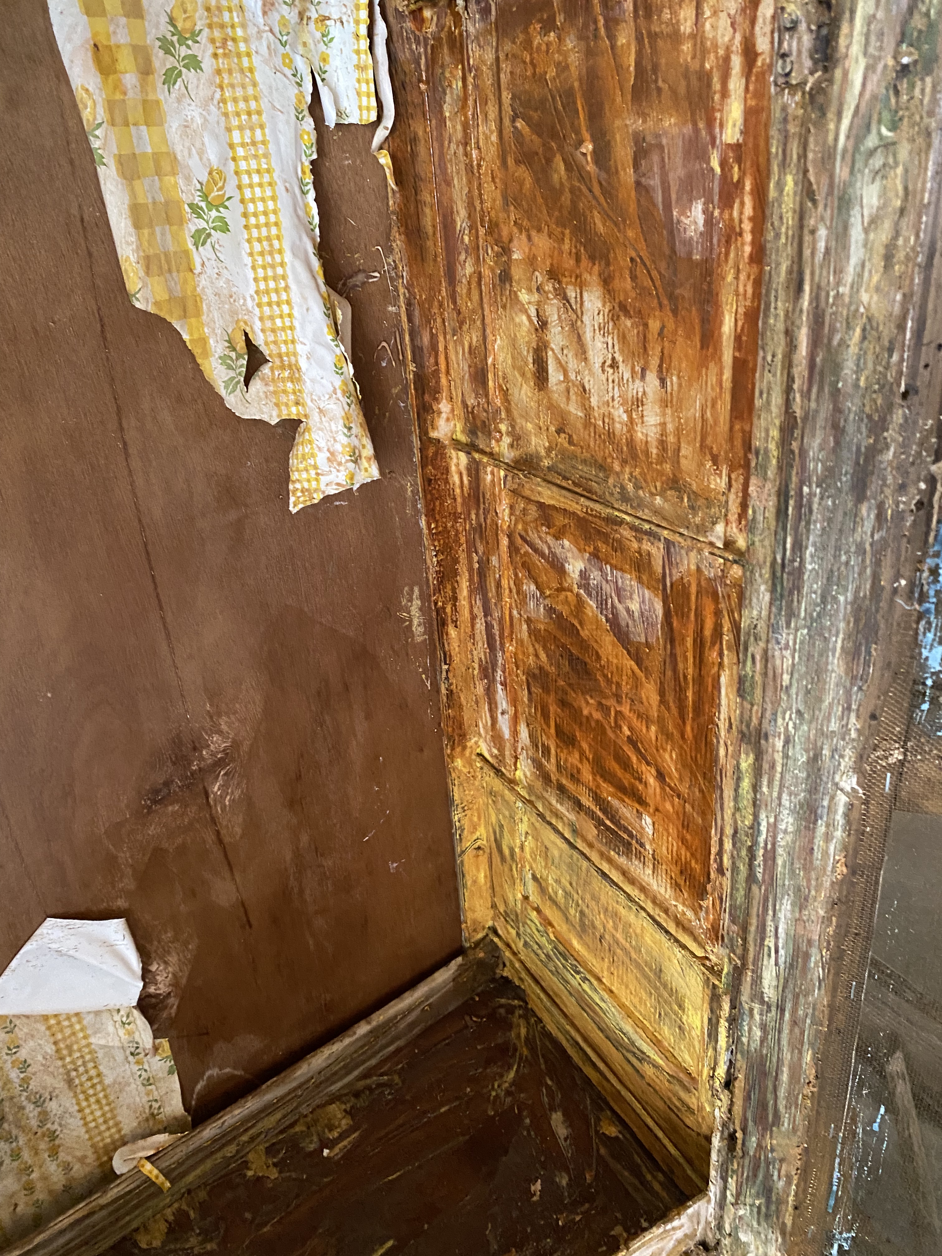 86E0A7B2-F92E-43E9-80C3-112DE89DA2A7