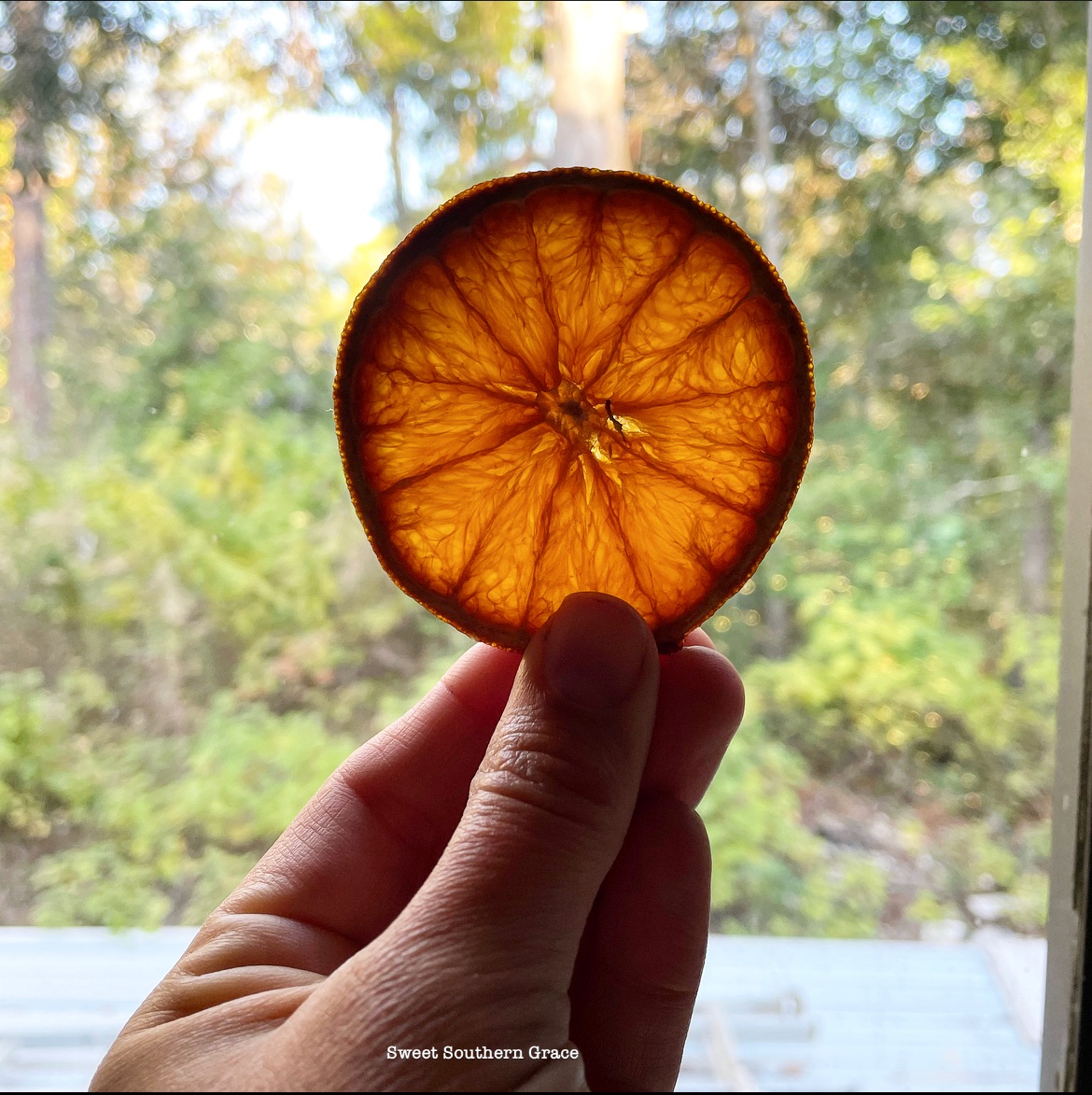 25A01861-5DE2-4219-9F64-CF3D99F796F4