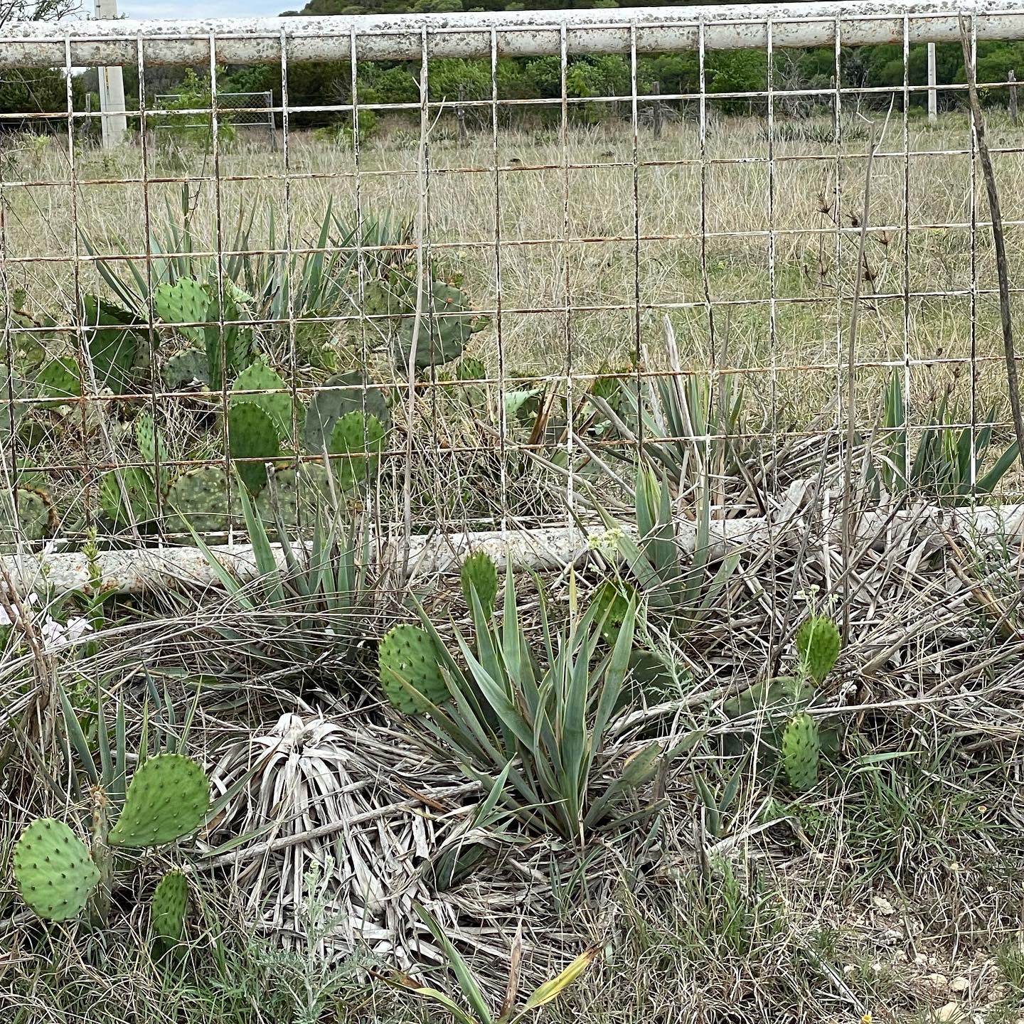 BA5062E7-8EDB-4CEE-BEF3-35C1071CFAF5