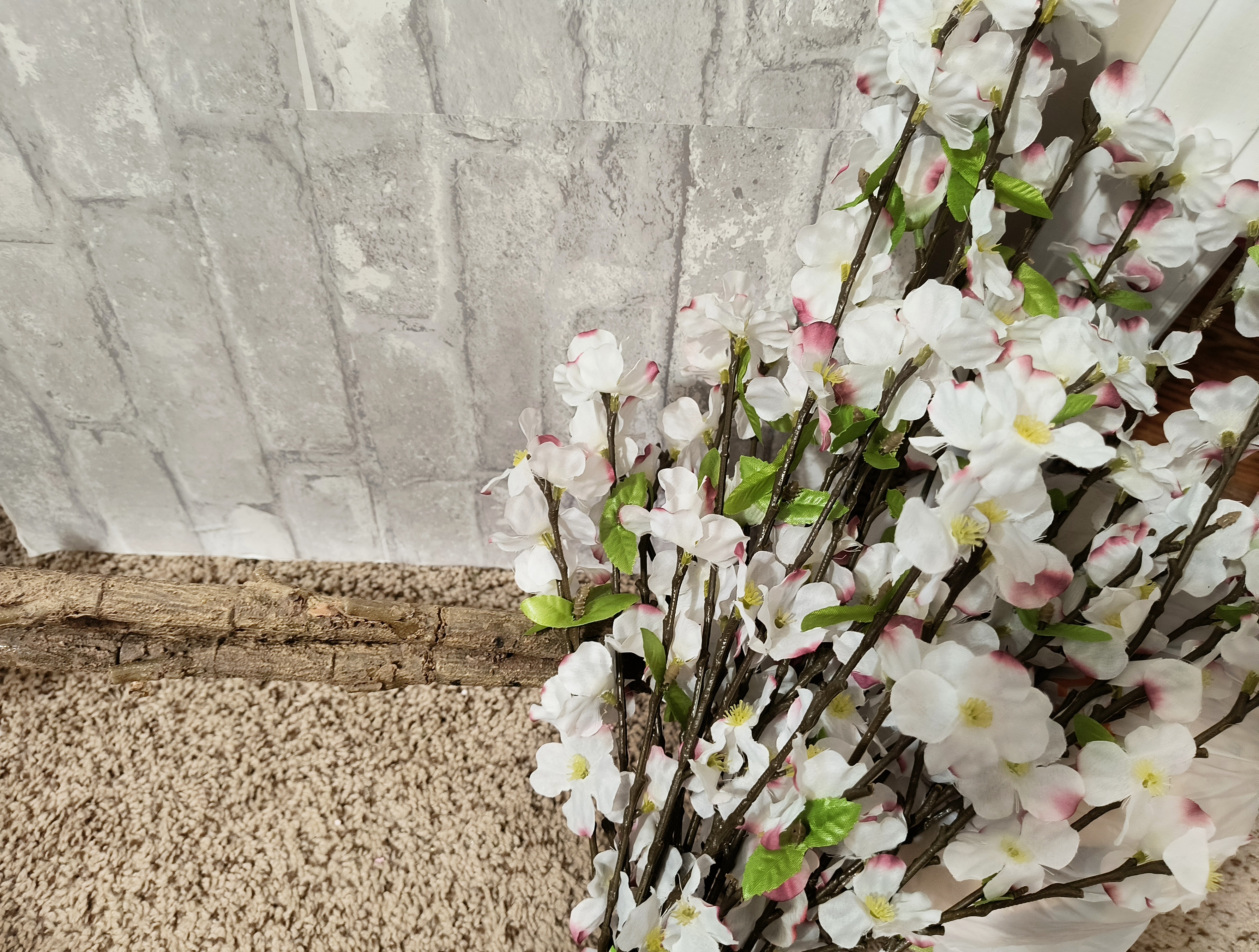 BF2FE635-0E6E-4D20-9018-D9357061EF63